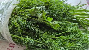 Моя дача. Зелень для заморозки// зацвела плетистая роза// львиный зев