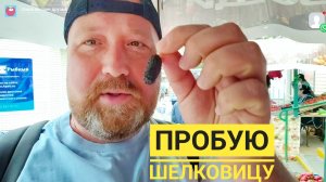 НЕ ДАМА С СОБАЧКОЙ. ЦЕНЫ НА РЫНКЕ. РЫБНЫЕ КОНСЕРВЫ ПО ЦЕНЕ, КАК СЛЕТАТЬ ДО ЛУНЫ - ГОСПОДА МЫ КУДА ЛЕ