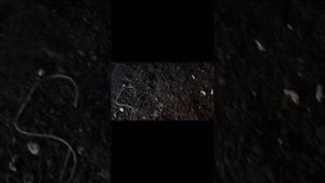 Покупка гаража, нюансы и вопросы