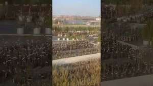 Добро пожаловать: старт работы нашей площадки
