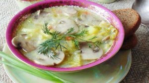 Суп из савойской капусты с грибами.