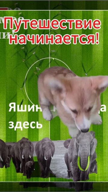Путешествие начинается!