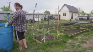 Полив маленького огородика Не спешный ролик о деревенских буднях