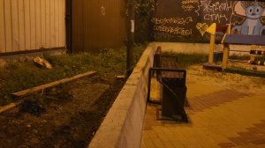 Вечерняя прогулка