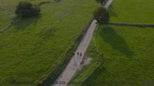 Поля становятся морем, а ноты - волнами - Here We Are -- PLANET WARDO -- PLANET WARDO