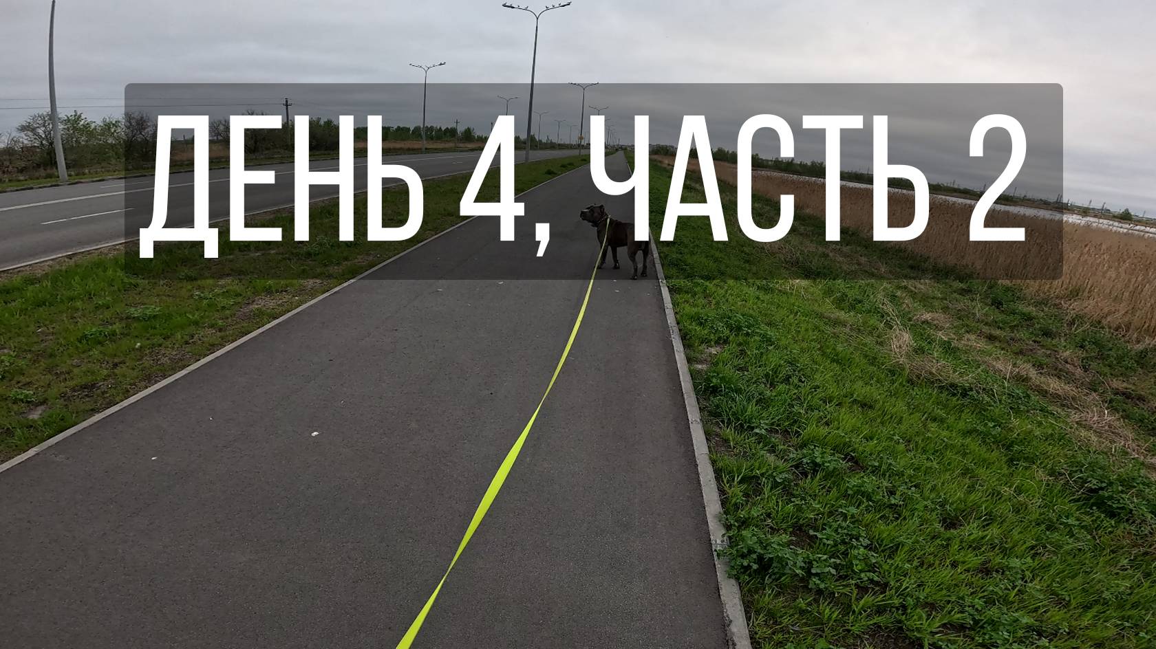 День 4, часть 2