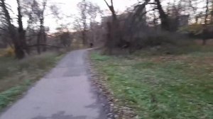 Станция метро "Кунцевская" и прогулка в сторону района Кунцево (04.11.2018) [архив]