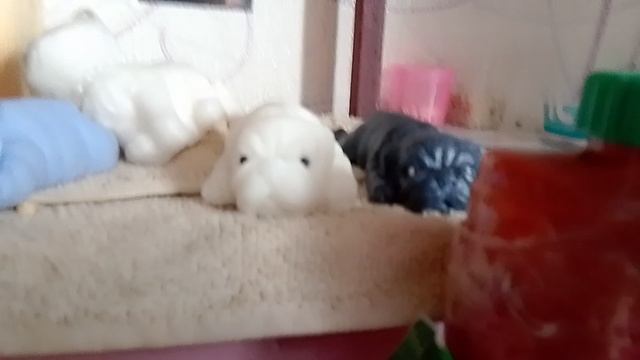 первое видео смотреть онлайн