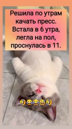 Решила по утрам качать пресс