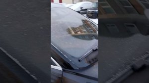 Новый HAVAL F7 2024 первые впечатления (ч.2)