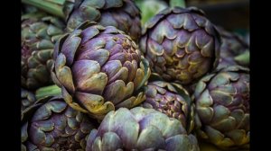 Артишок Полезные свойства