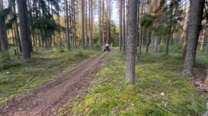 Нашумевший мото вездеход, от студии мини-байк: B’R-Trike! ?