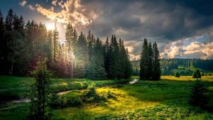 Расслабляющая музыка для сна, Релакс, Спокойная музыка слушать