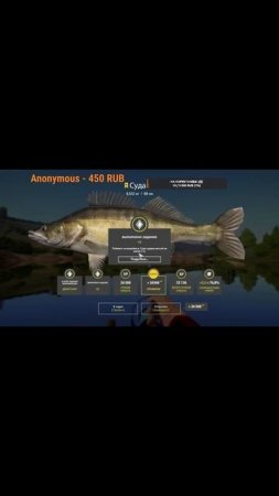 #shorts ТРОФ СУДАК р СУРА РУССКАЯ РЫБАЛКА 4 #рыбалка #carpfishing #fishing