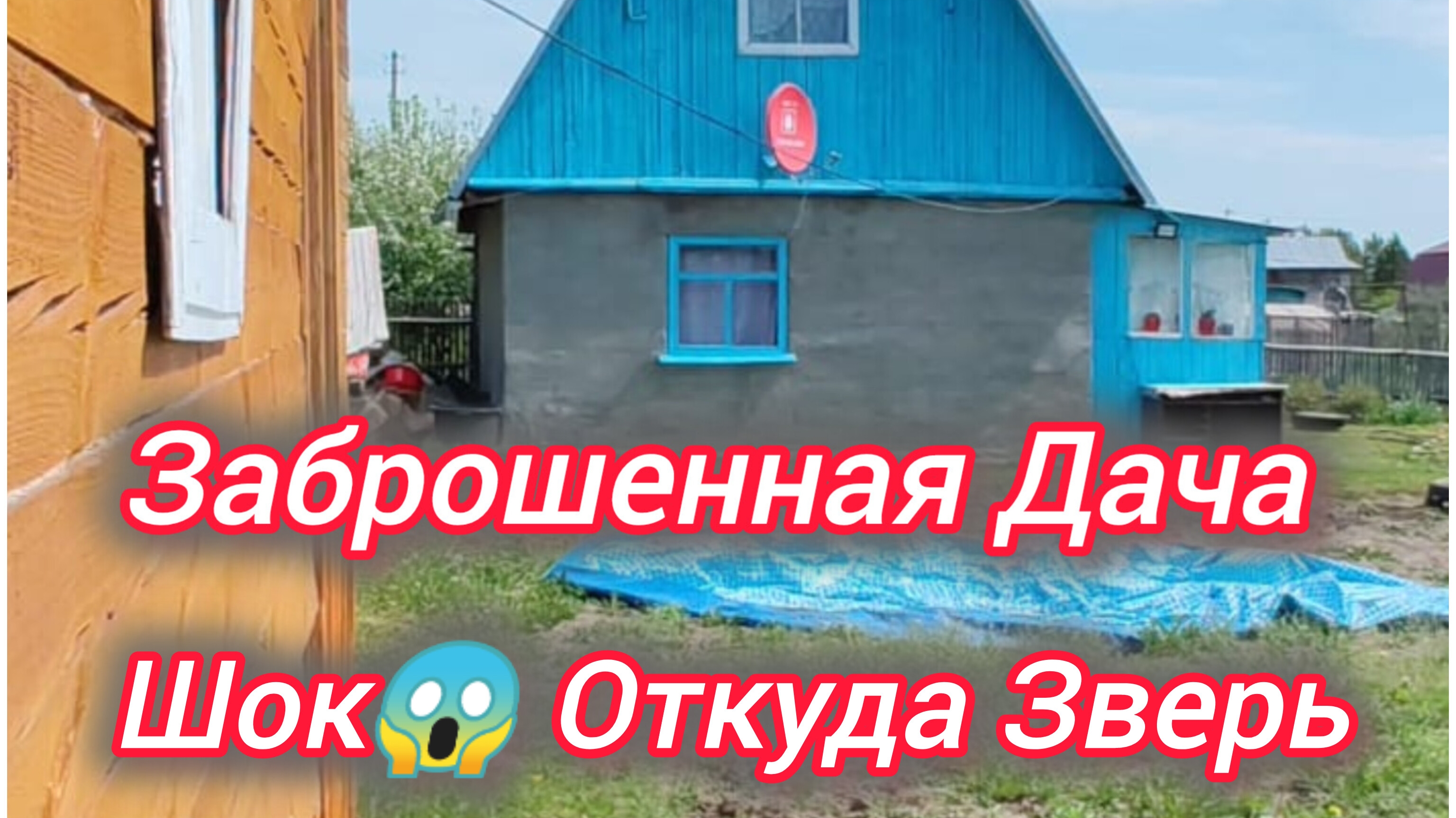 Заброшенная дача. Шок😱 Откуда зверь!
