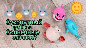Ладушка🐱выбирает😂 #смешныекоты #котики #видосы #тайская кошка