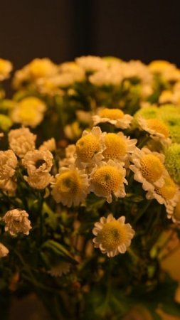 Фотофонарь индекс цветопередачи CRI