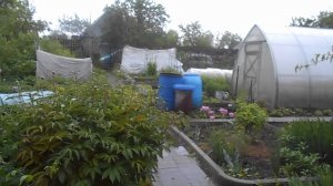 МЫ НА ДАЧЕ (2 часть)