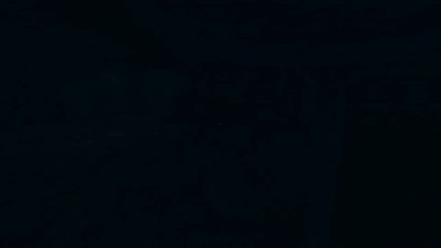 Amnesia: Машина для свинейбез комментариев