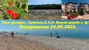 Пляж "Дельфин",ул.Тормахова и Белинского! Минута природы! Лазаревское 24.05.2025🌴ЛАЗАРЕВСКОЕ