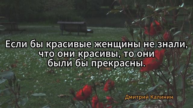 Красивые цитаты о женщинах, которые помогут вам оценить и восхититься красотой и силой женщин смотреть онлайн