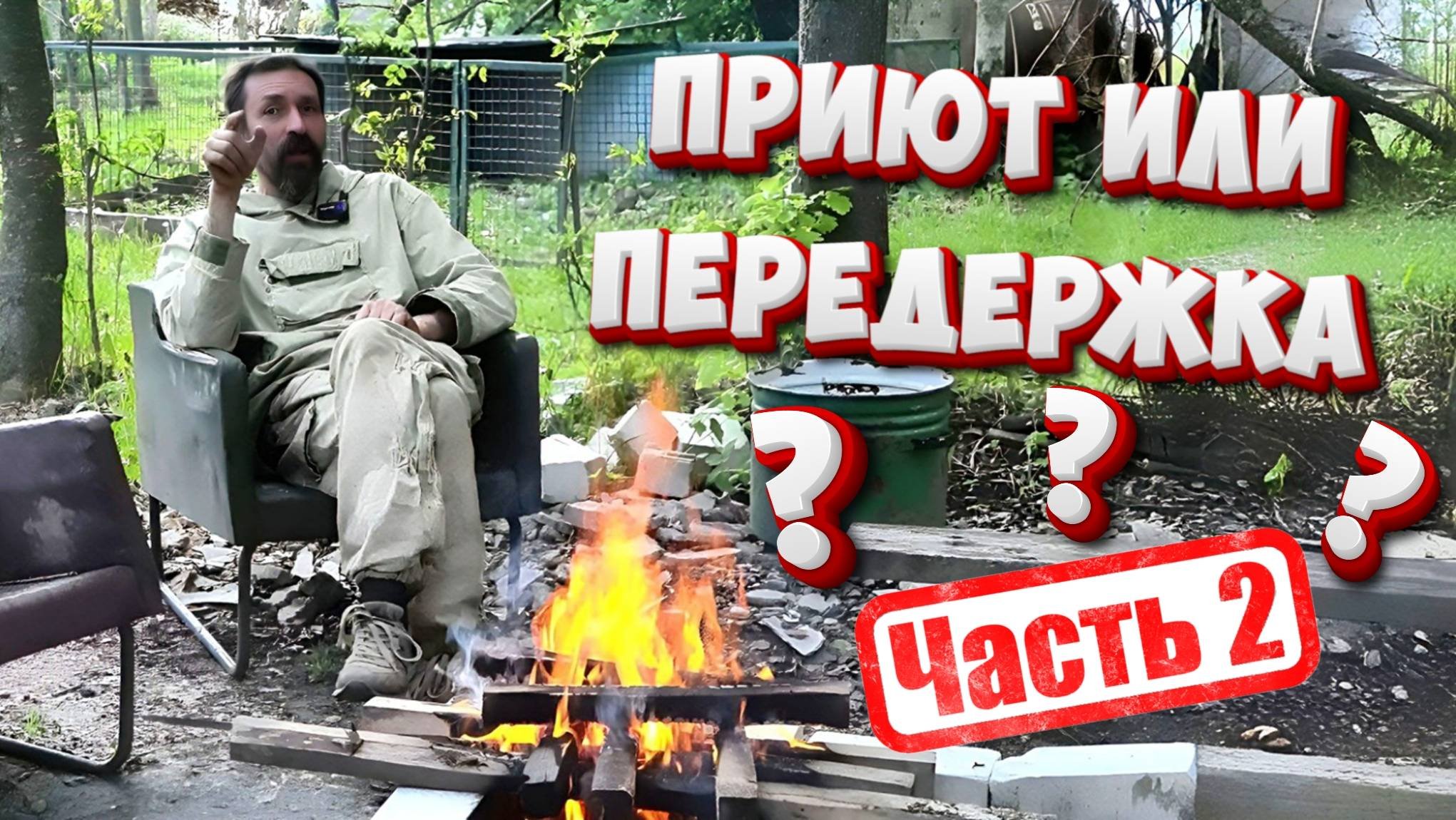 Приют или передержка: правда, которую должен знать каждый