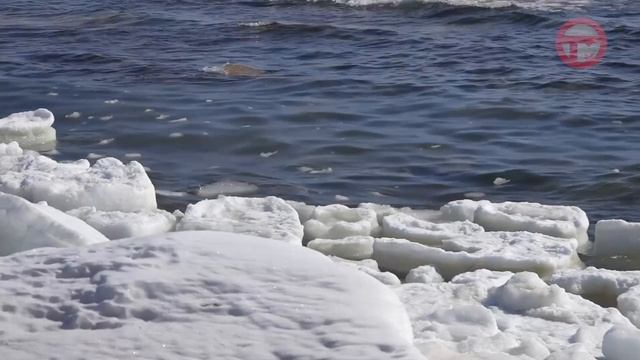 Знак "Нулевого километра" появится на острове Русском смотреть онлайн