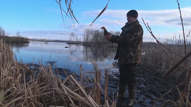 Охота на селезня с подсадной 2025 смотреть онлайн