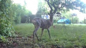 Бирочный, что он ищет