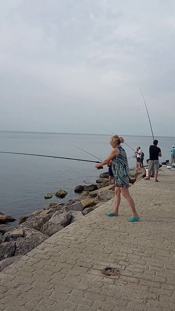 Морская рыбалка. 3 сентября. смотреть онлайн