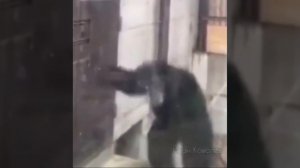 Есть кто дома?