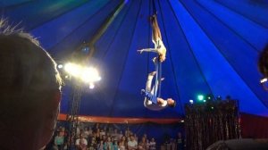 я в цирк иду...