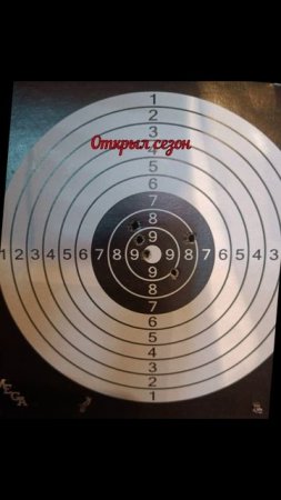Ворошиловский стрелок