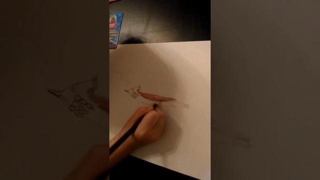 Как нарисовать жаворонка