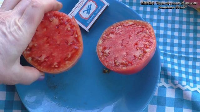 Сравнительная дегустация очень вкусных крупноплодны? смотреть онлайн