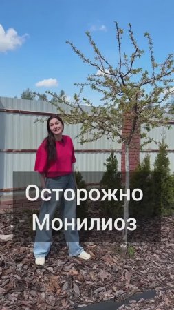 Осторожно,  Монилиоз!