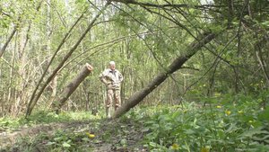 Новые посетители кормушки. Кадры с фотоловушки.