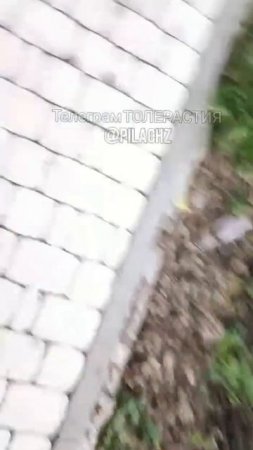 Вы все поедете в аул!
