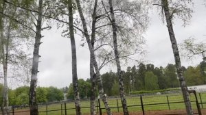 Разрушенный бетон забор въезд в Горки 10
