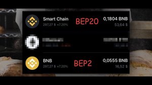 🟠 IDO на BakerySwap - Как ОНО устроено и как ПРИНЯТЬ участие?