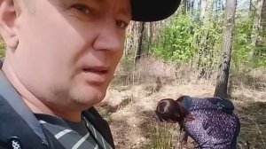 Попали на папоротник !