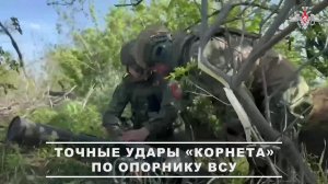 📍 Александро-Калиновское направление