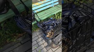 Электровелосипед Wenbo Monster СКОЛЬКО Я ПРОЕХАЛ