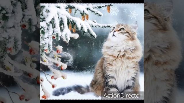 С добрым утром друзья ⛅🍰🍵💖 смотреть онлайн