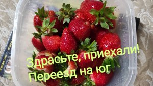 Провоцирую виноград на урожай. Внешние откосы в процессе отделки.