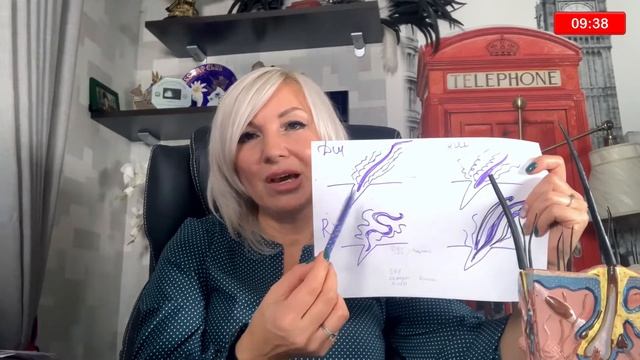 Cats+ Надежда Румянцева: Шерсть и окрас у кошек