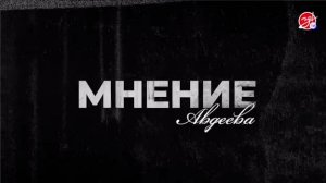 «Мнение Авдеева» об атаке Васильевки
