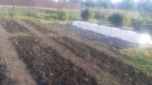 24.05 Что сделано в огороде, а что только в планах.