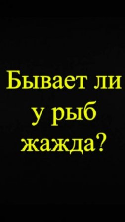 Мозгоправ самоубился. Книга первая. Вопрос 44