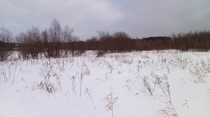 новая мотособака на 600 гусянке